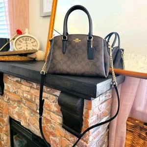 Coach Sage Lillie Mini Carryall Signature